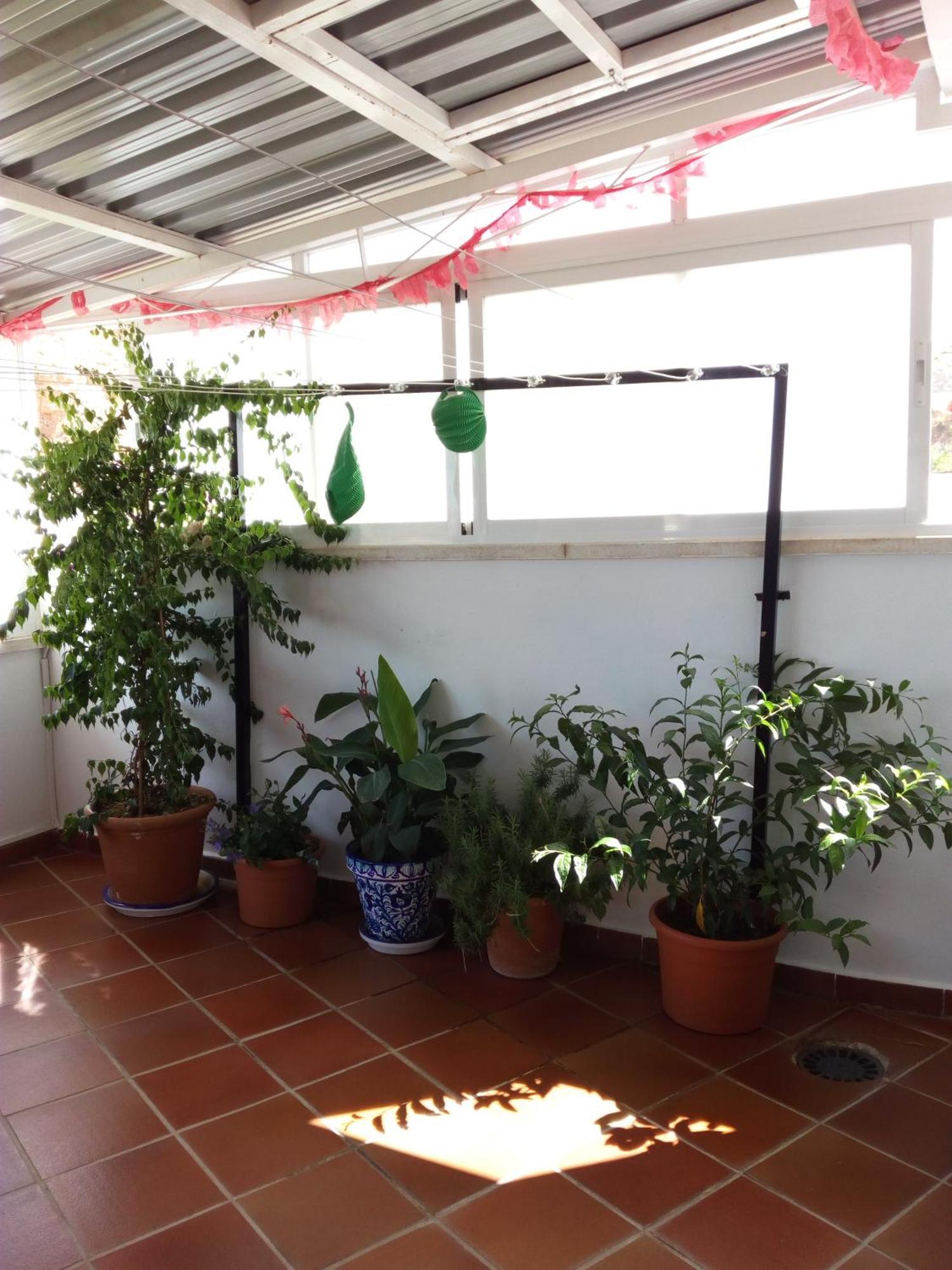 Hostal Rural Montual Los Baños Extérieur photo